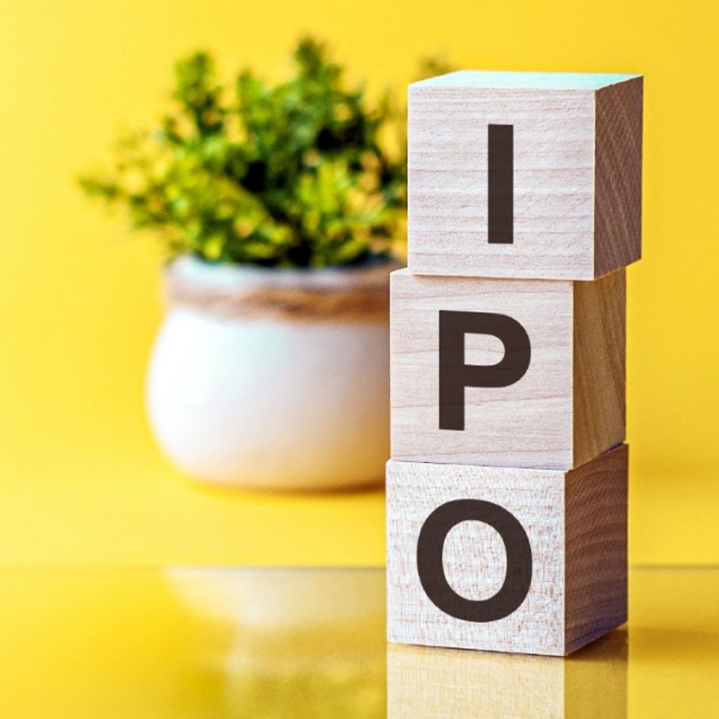 ipo india,issue price,NSE,Star Health,IPO,Zomato,bankers,market capitalization