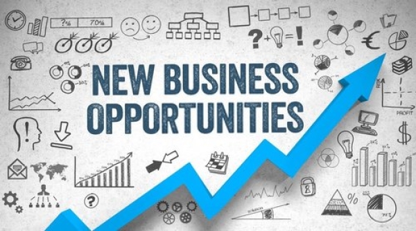 best business opportunity in 2022