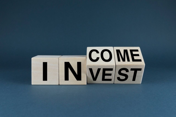 investing principle,invest better,how to invest, basic of investing in stocks,why to invest,investing,invest,asset,stocks,diversified,investors